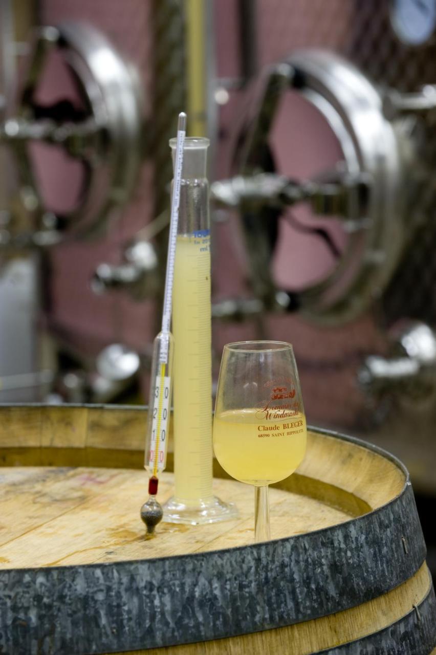 Domaine Bleger By Windmuehl Ξενοδοχείο Saint-Hippolyte  Εξωτερικό φωτογραφία